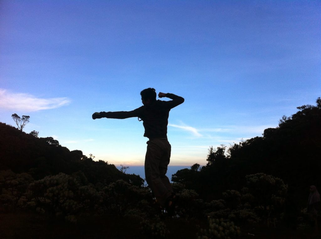 acen di mandalawangi gunung pangrango